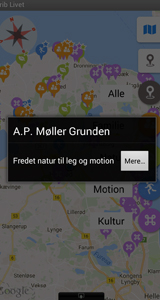 Grib Livet – Sådan laves punkter