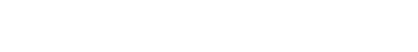 Level equity logo