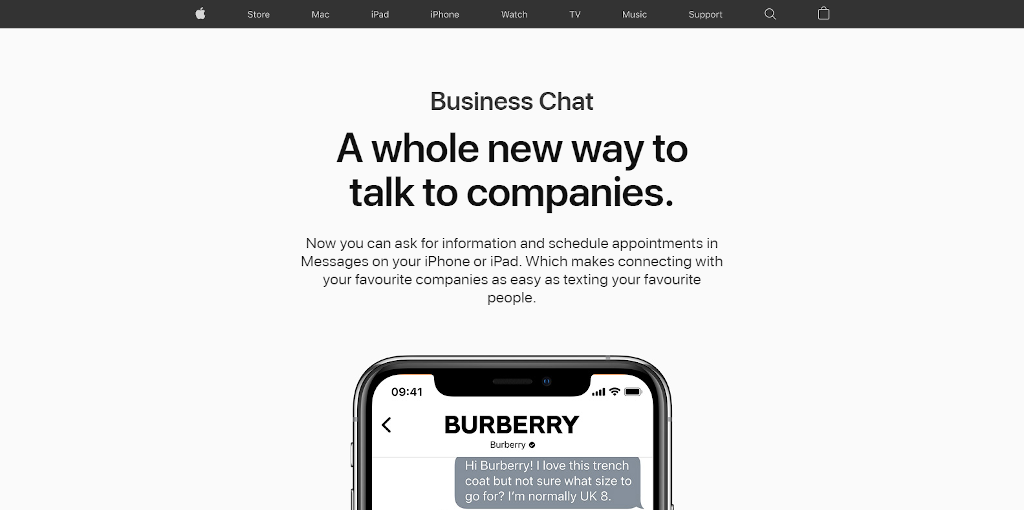 Apple Business Chat