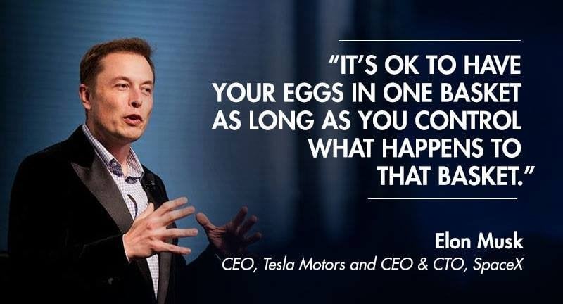 Elon Musk quote