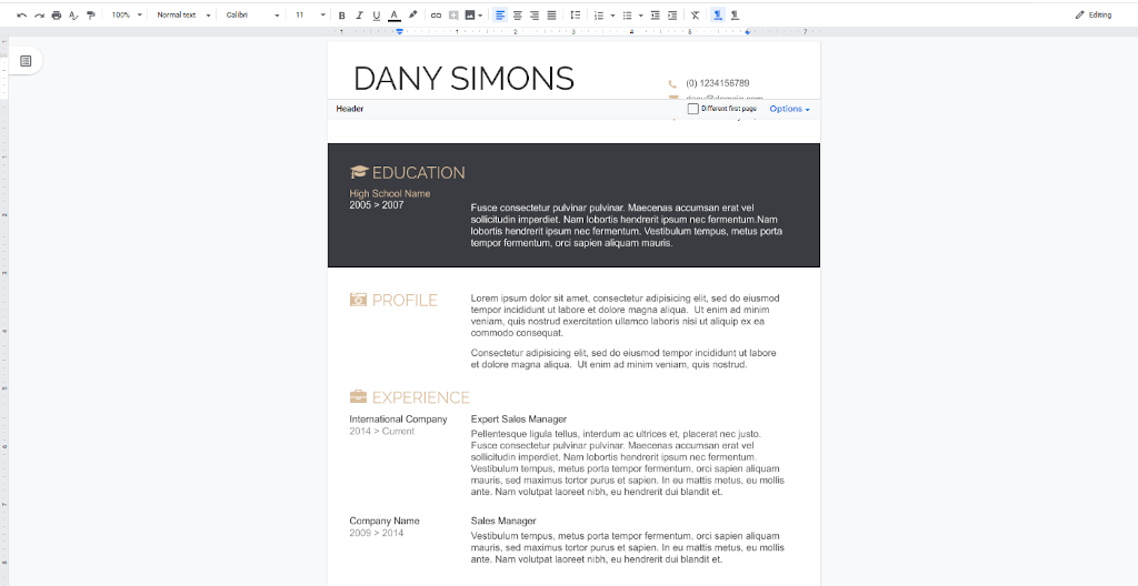 Google Docs Templates - Light and Dark Resume