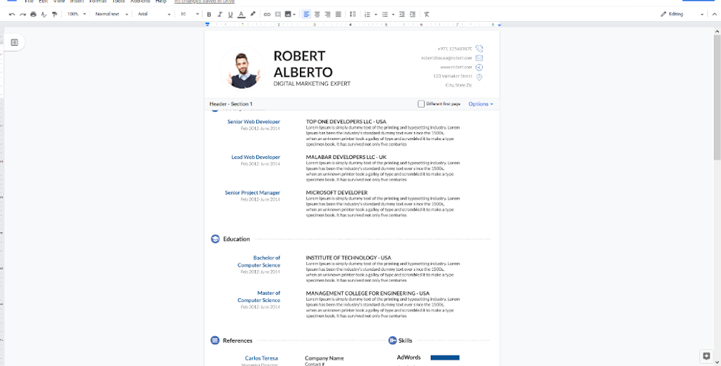 Google Docs Templates - White blue resume