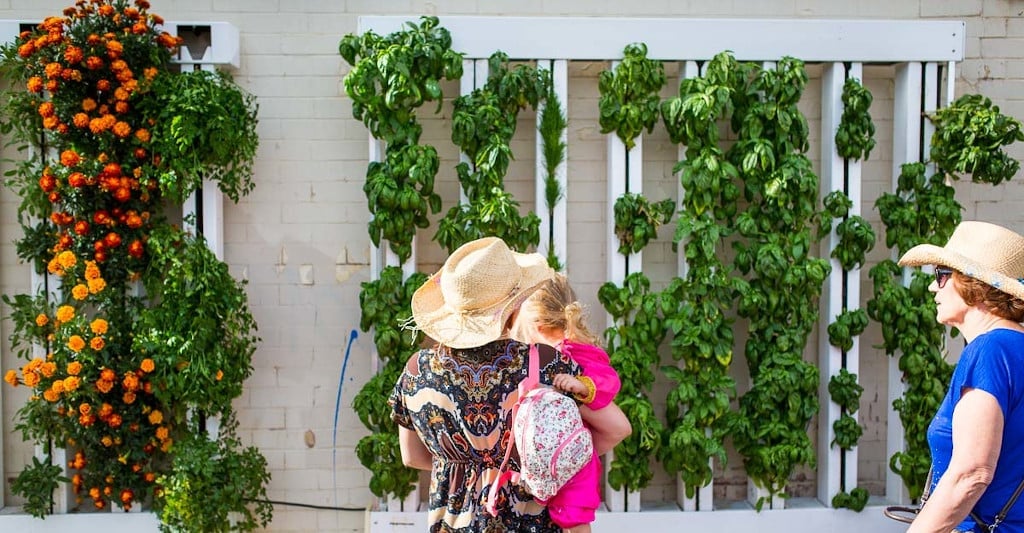 Urban farming