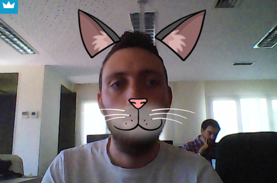 best video conferencing appearin kitty cat