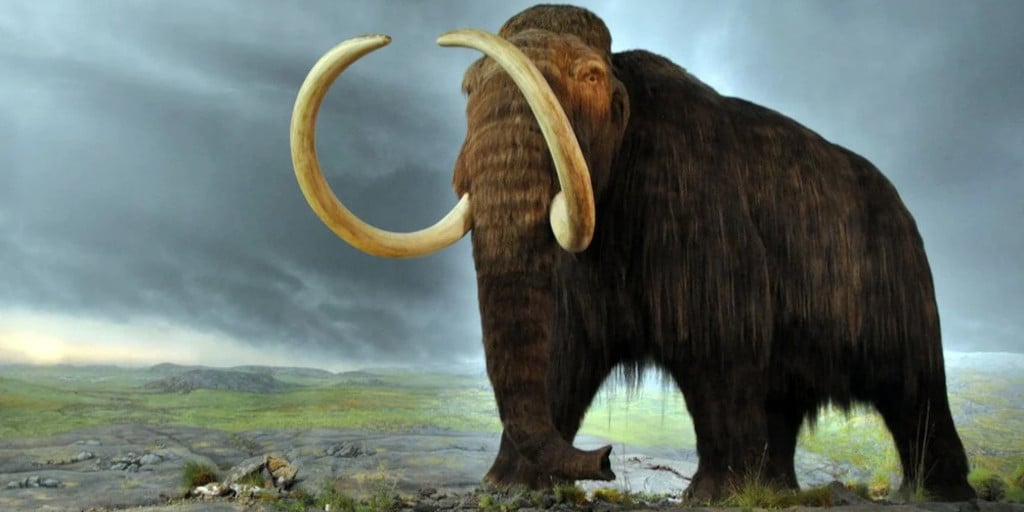 big-data-people-analytics-woolly-mammoth big-data-people-analytics-woolly-mammoth