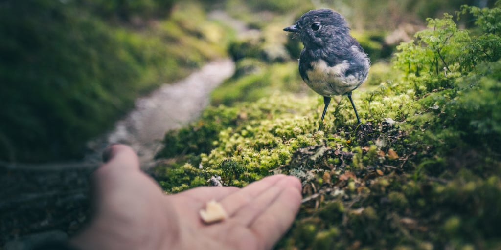 How much trust do you have? How much trust do you have?