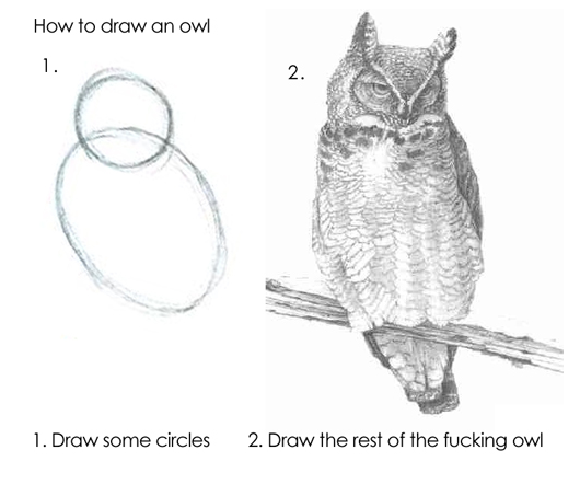 maturity model rest of the fucking owl