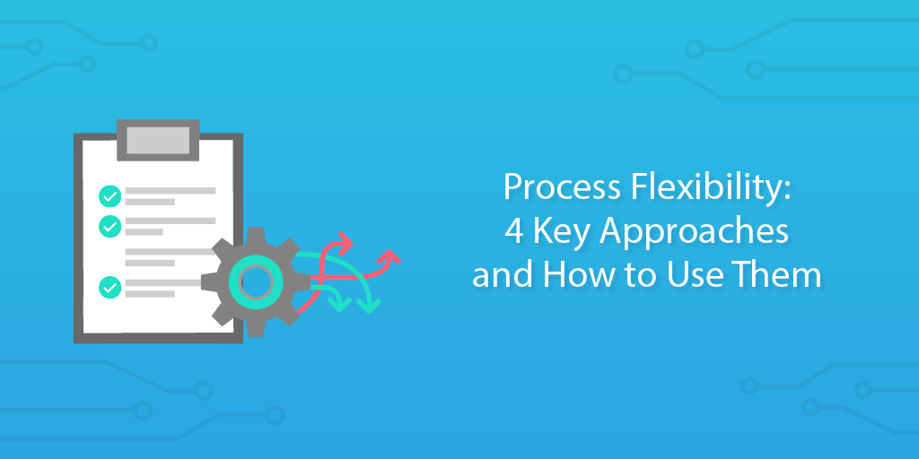 process flexibility