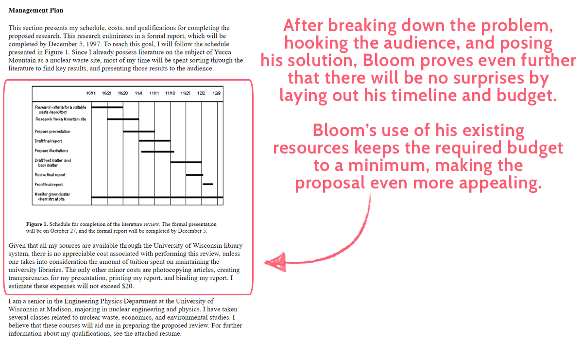 project proposal - example solution budget and timeline