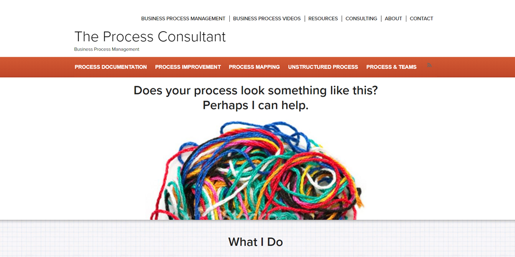 the process consultant