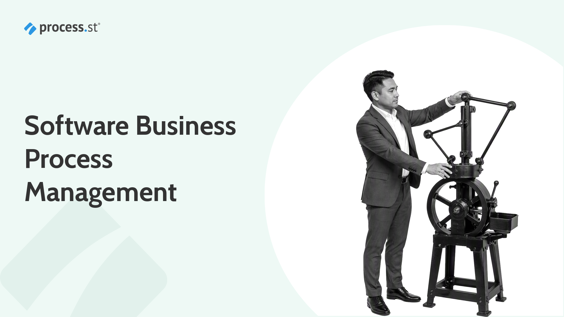 Software business process management with a process owner operating a mechanical process governor