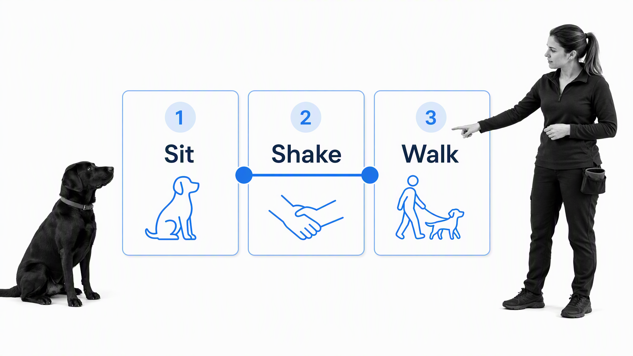 Black dog beside a three-step Sit, Shake, and Walk routine with a trainer reviewing the sequence